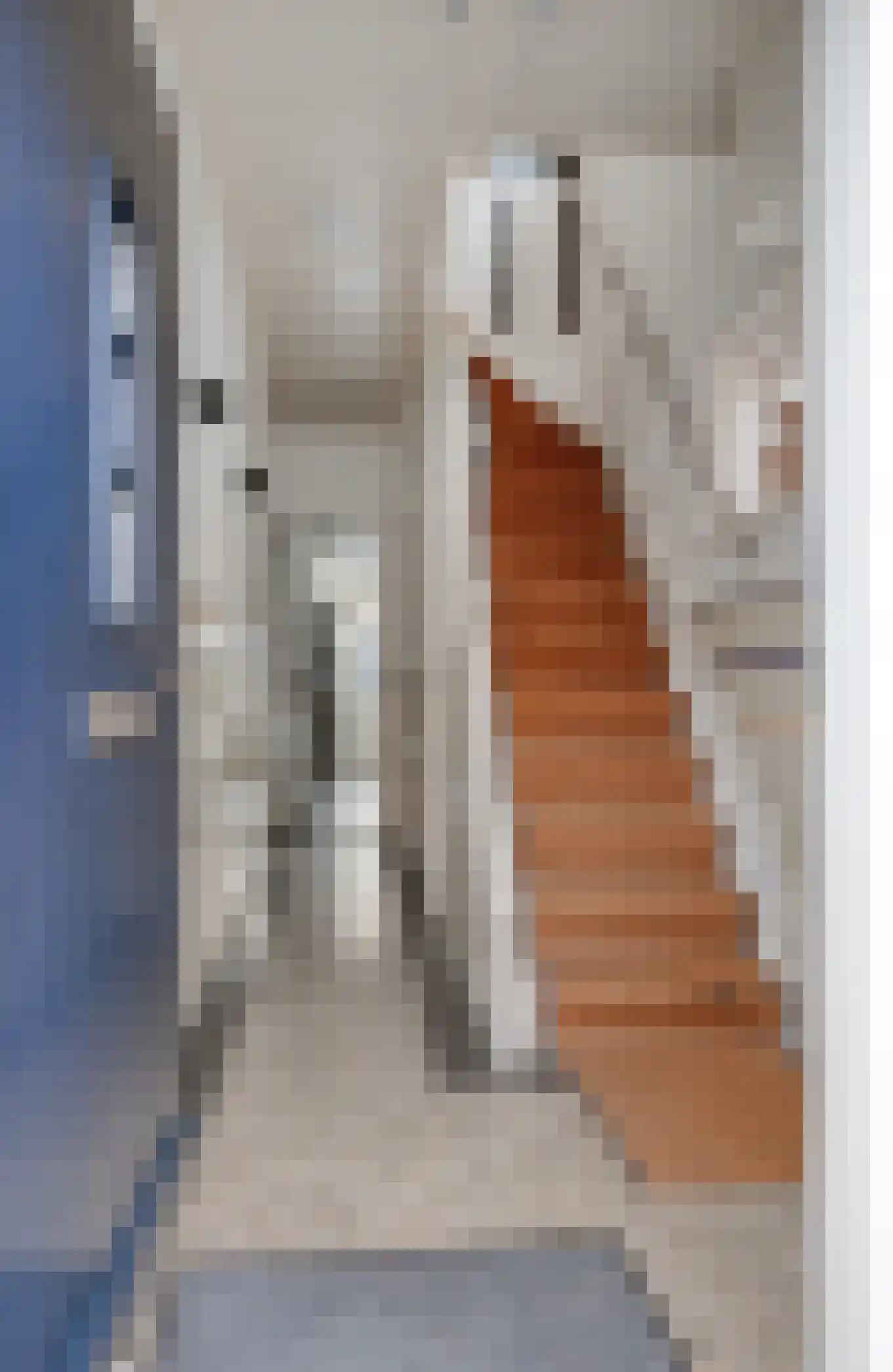 Leliestraat 31 Goes thumbnail 5