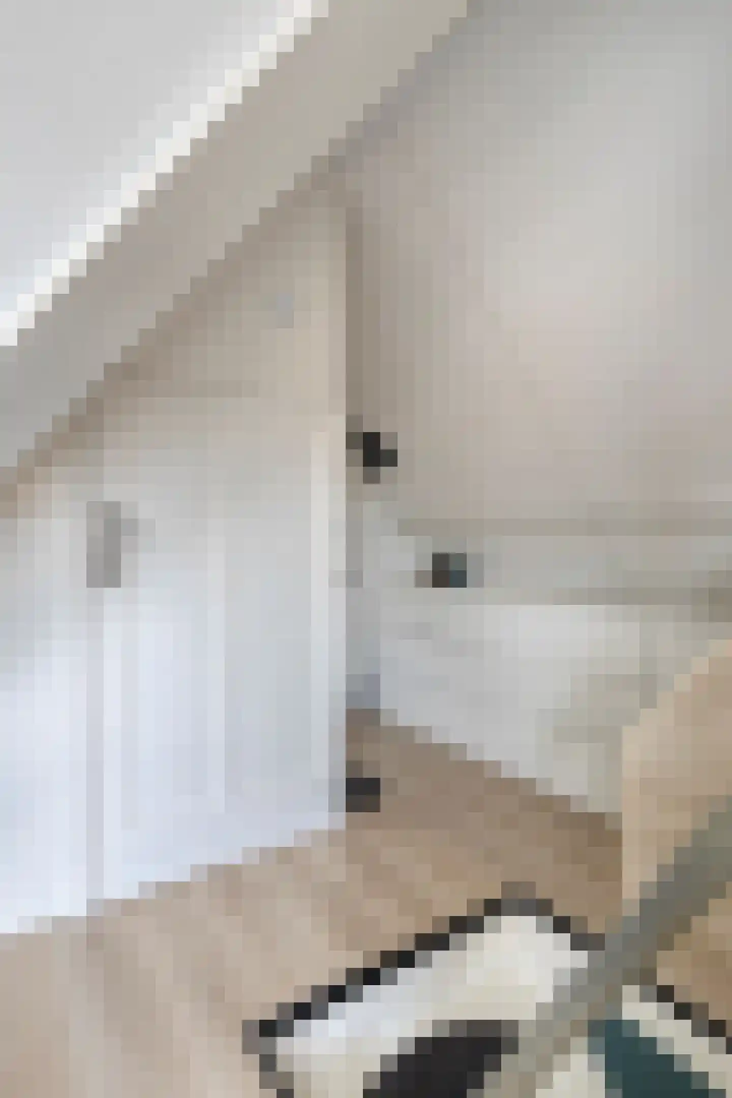 Leliestraat 31 Goes thumbnail 50