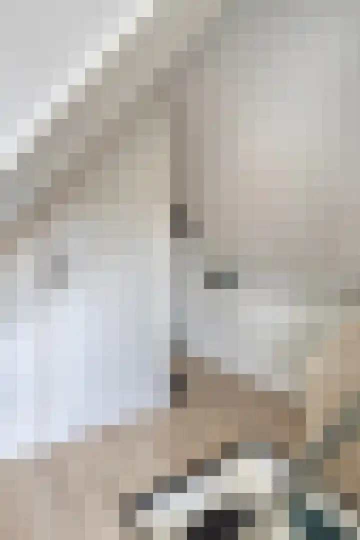 Leliestraat 31 Goes thumbnail 49