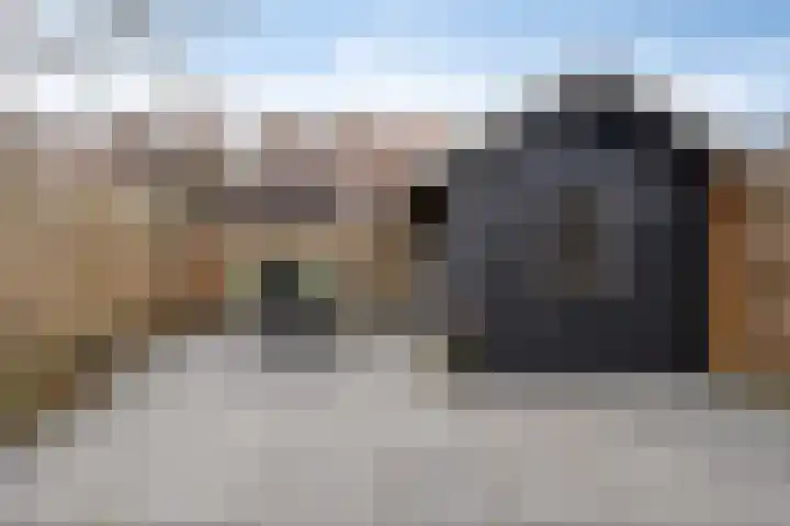 Leliestraat 31 Goes thumbnail 52
