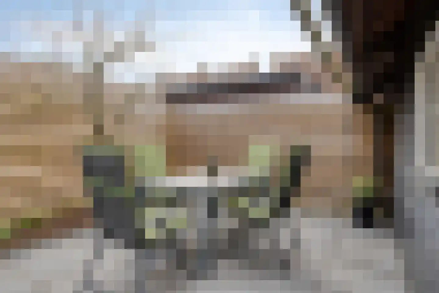Leliestraat 31 Goes thumbnail 54