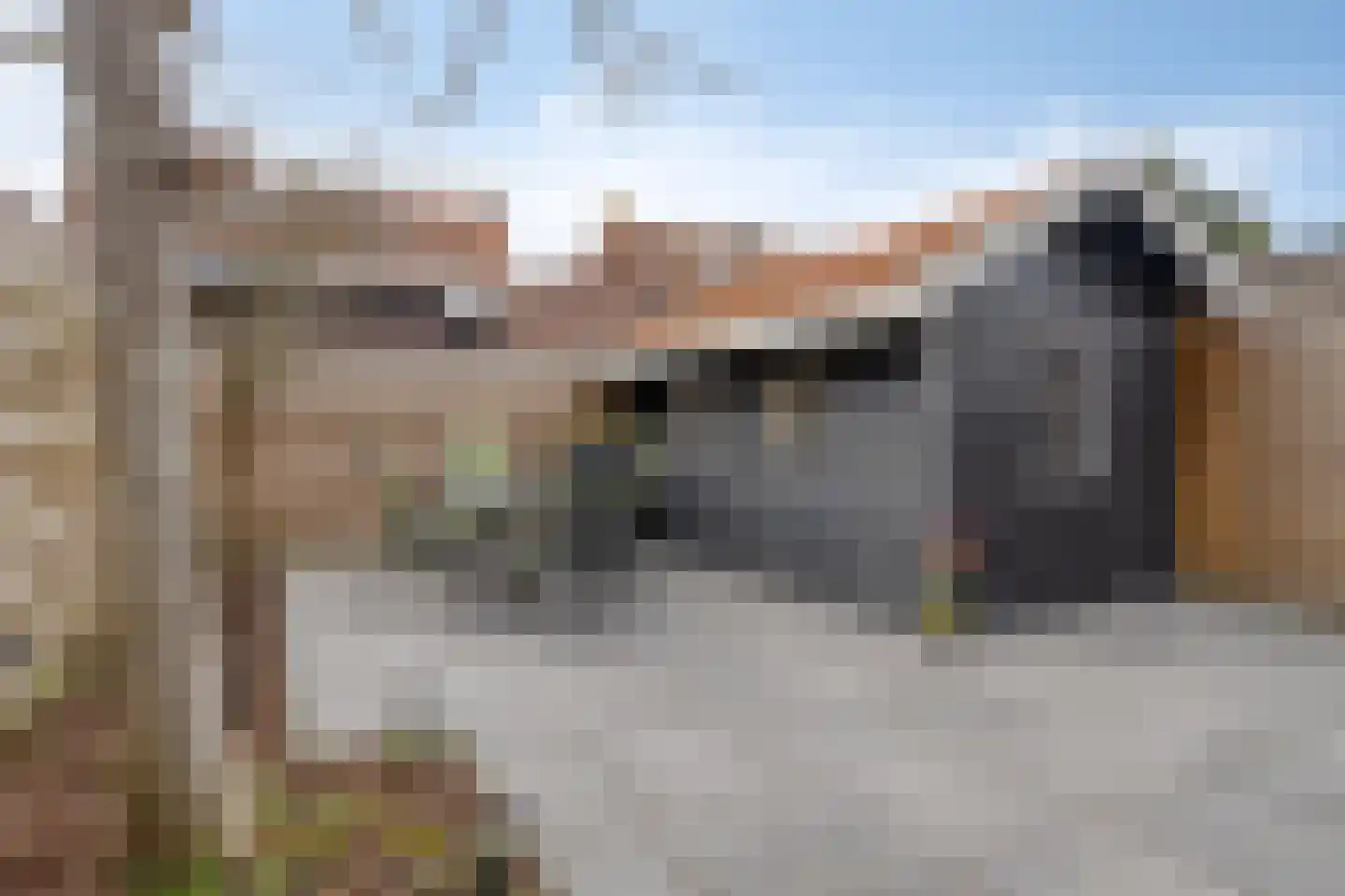 Leliestraat 31 Goes thumbnail 55