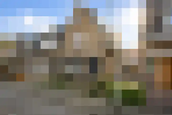 Leliestraat 31 Goes thumbnail 56