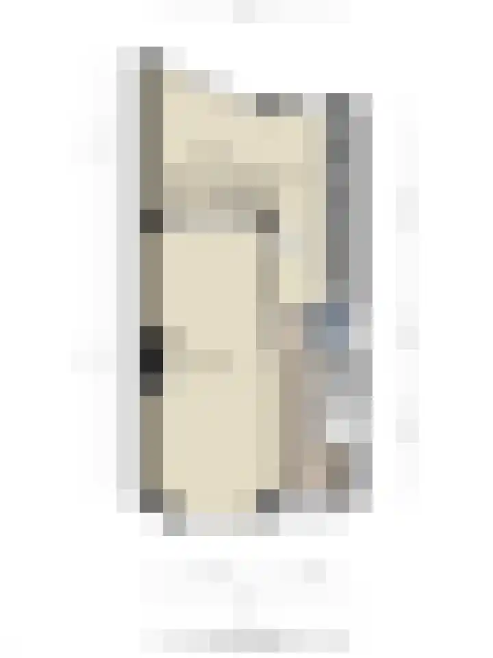 Leliestraat 31 Goes thumbnail 57