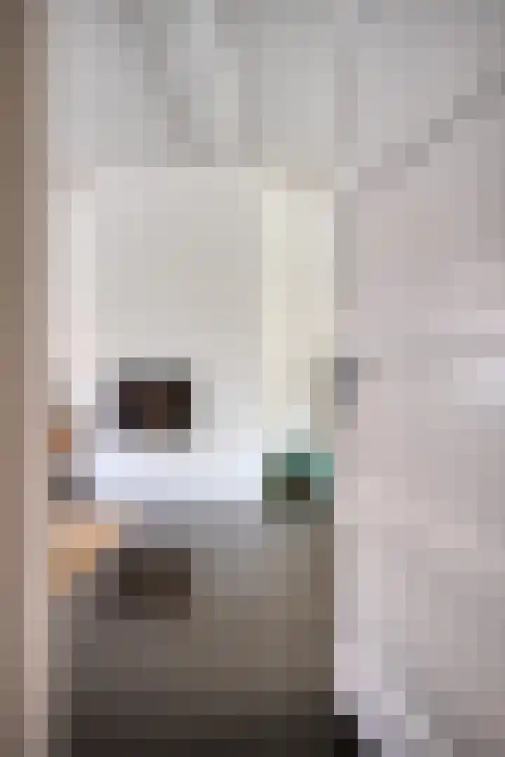 Leliestraat 31 Goes thumbnail 8