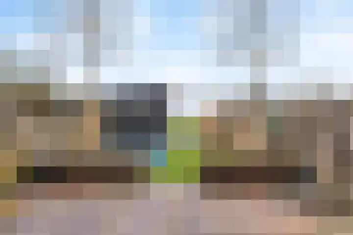 Leliestraat 31 Noorden thumbnail 32