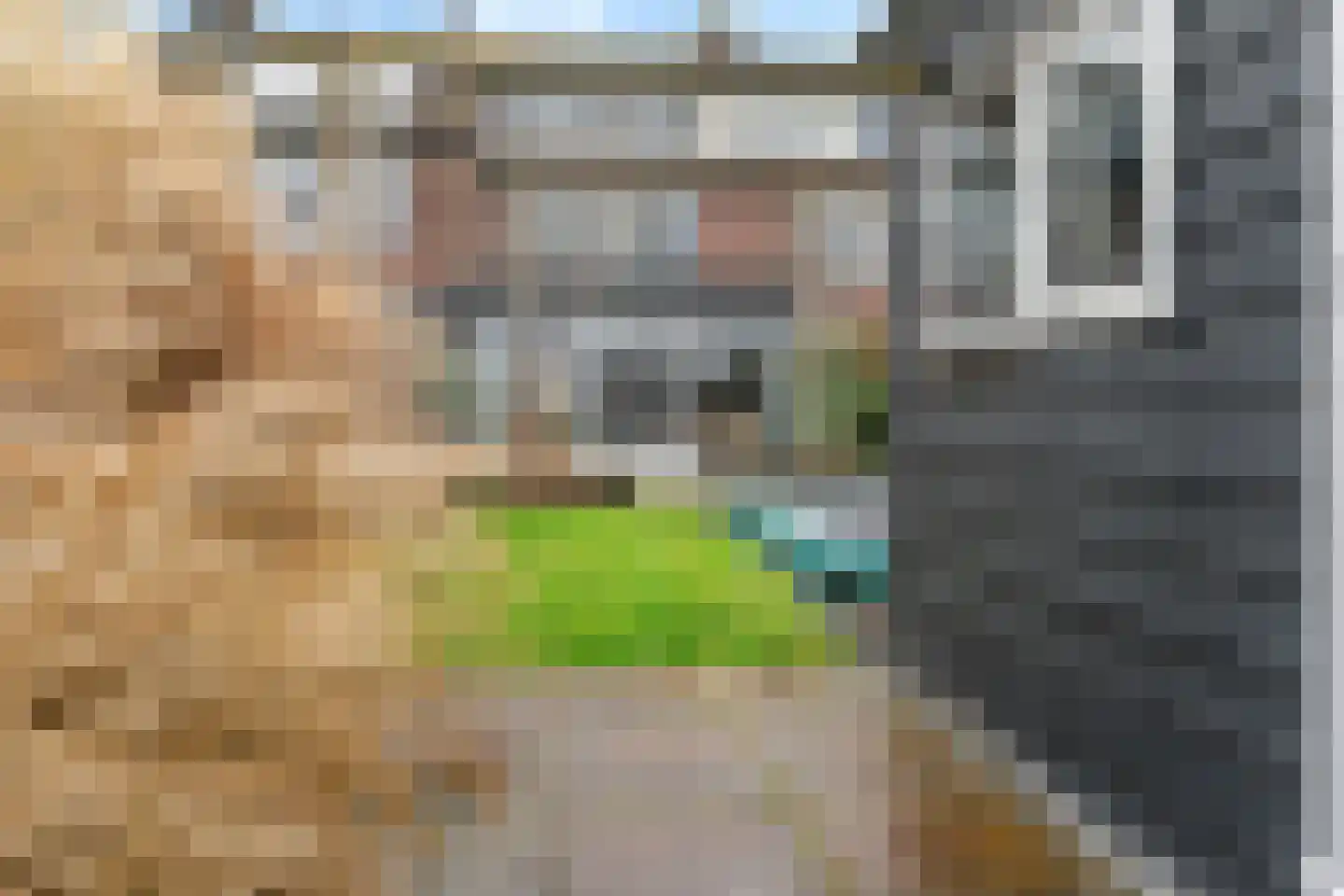 Leliestraat 31 Noorden thumbnail 33