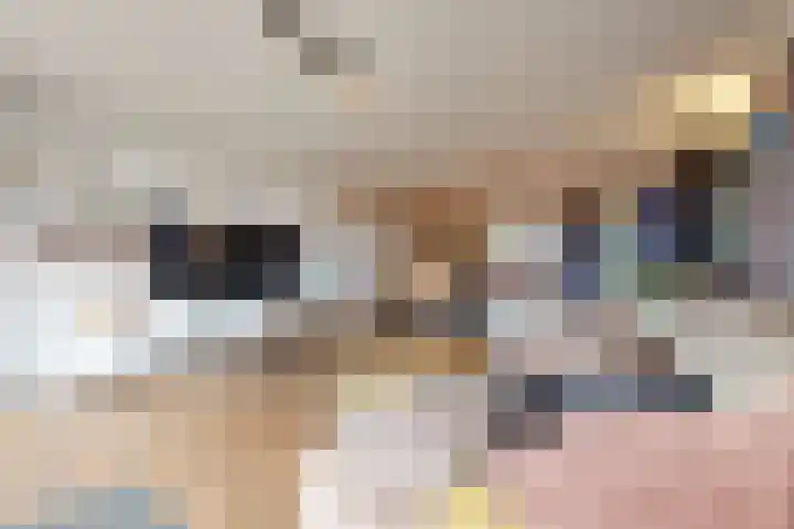 Leliestraat 31 Noorden thumbnail 5