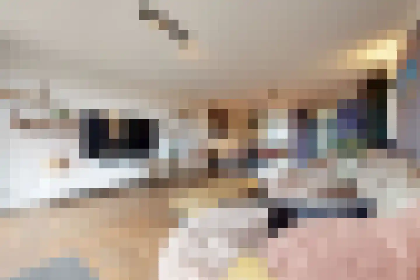 Leliestraat 31 Noorden thumbnail 7