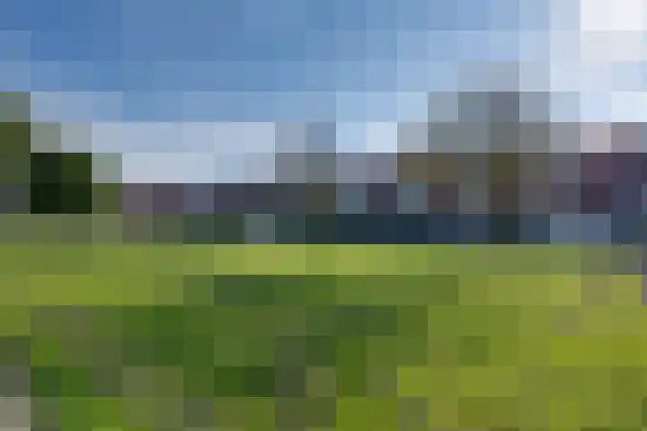Leliestraat 32 Volendam thumbnail 51
