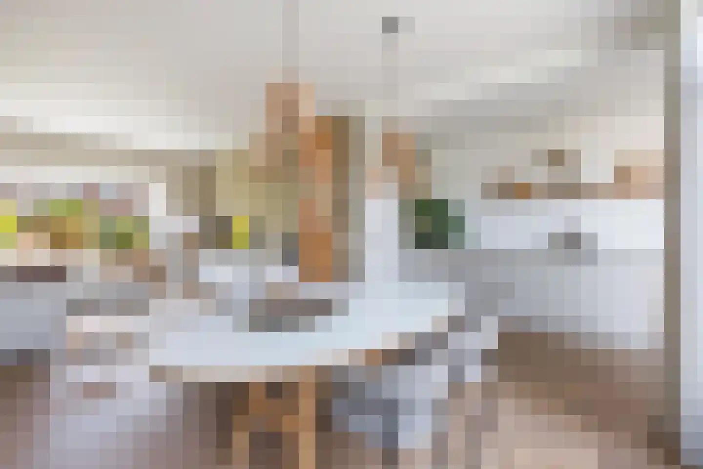 Leliestraat 32 Woerden thumbnail 12