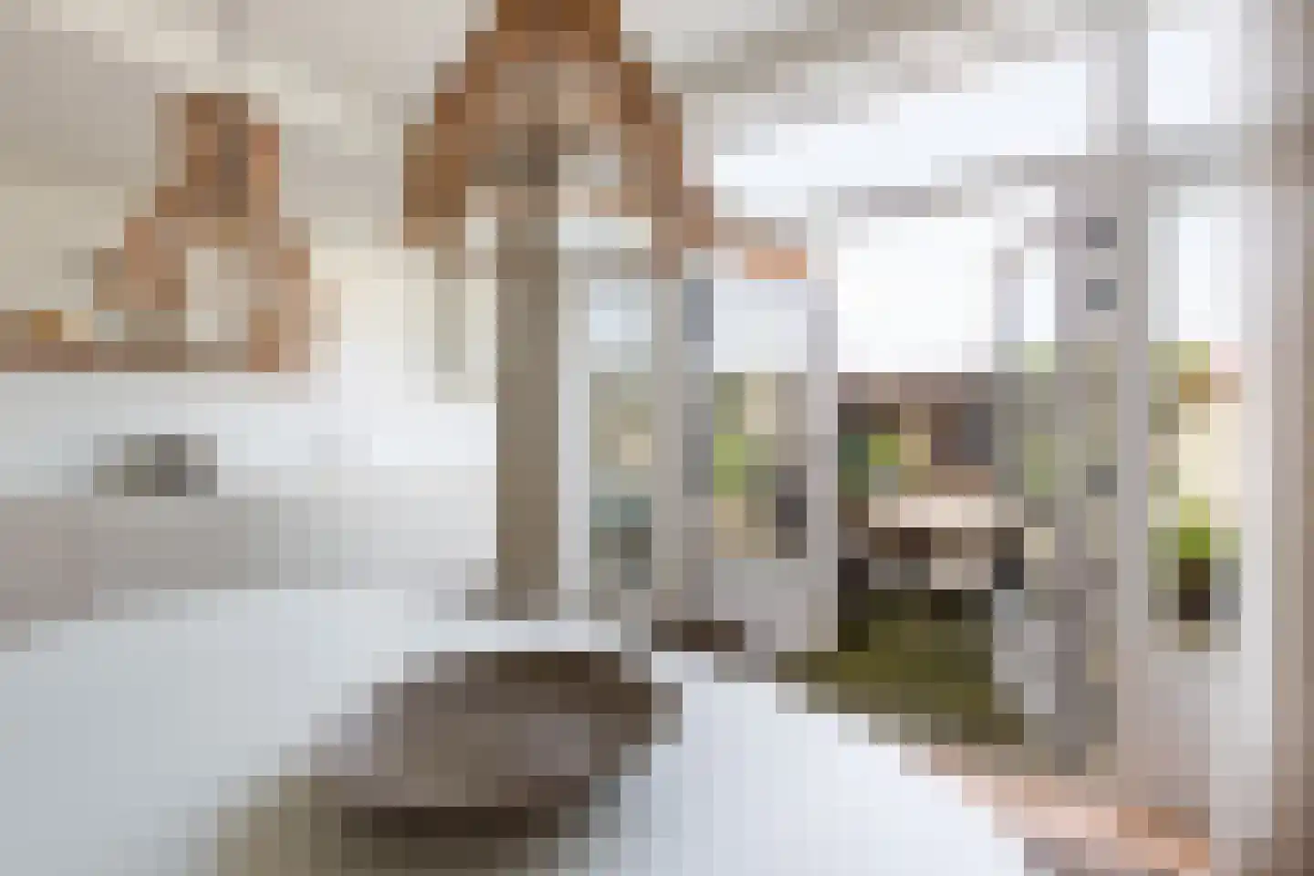 Leliestraat 32 Woerden thumbnail 15