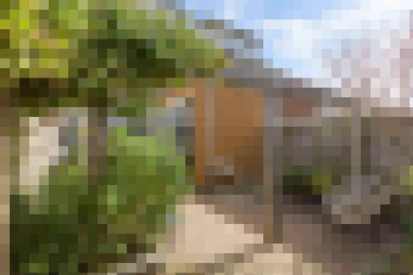 Leliestraat 32 Woerden thumbnail 20