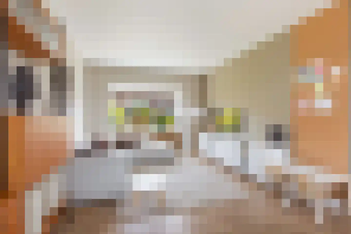 Leliestraat 32 Woerden thumbnail 24
