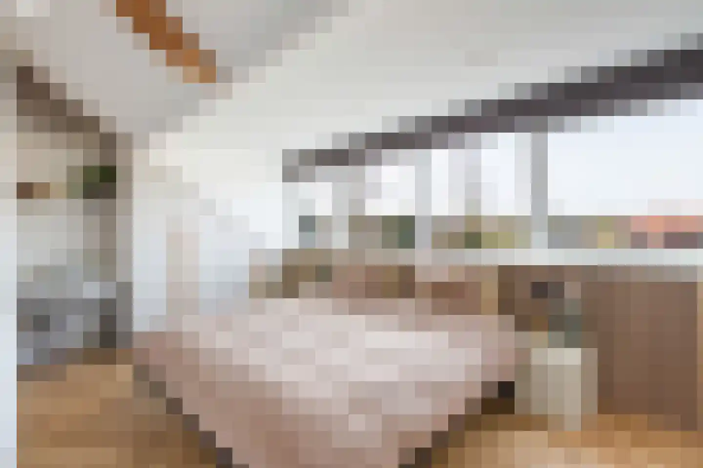 Leliestraat 32 Woerden thumbnail 35