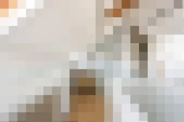Leliestraat 32 Woerden thumbnail 39