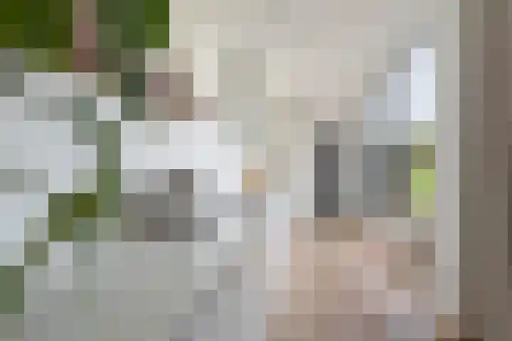 Leliestraat 32 Woerden thumbnail 7