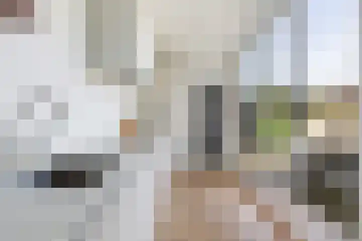 Leliestraat 32 Woerden thumbnail 8