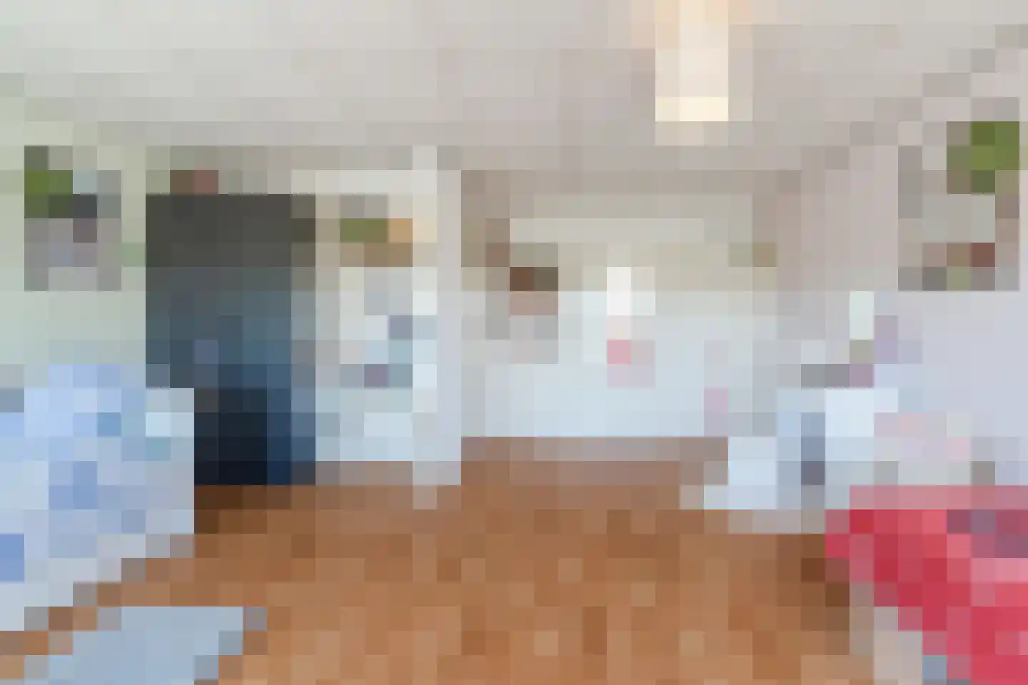 Leliestraat 34 Beek en Donk thumbnail 31