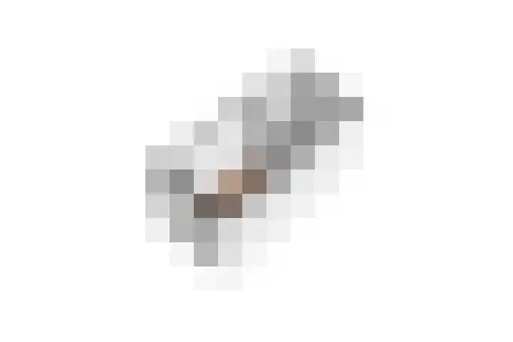 Leliestraat 34 Utrecht thumbnail 40