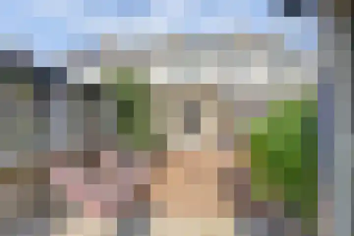 Leliestraat 35 Goes thumbnail 29