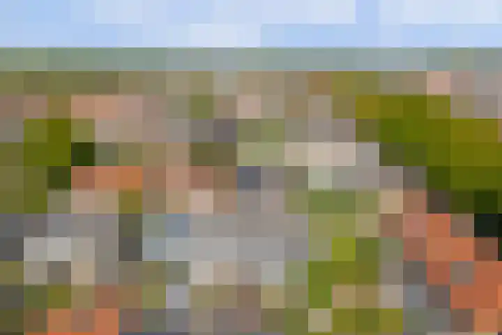 Leliestraat 35 Goes thumbnail 31