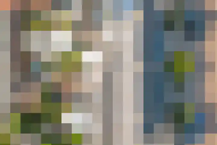 Leliestraat 35 Goes thumbnail 32