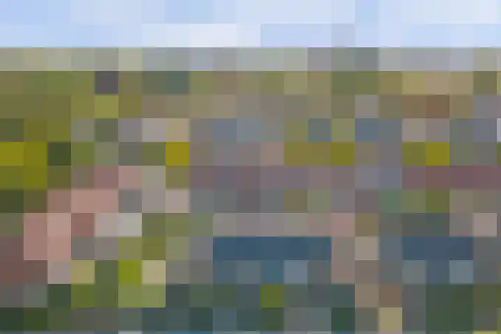 Leliestraat 35 Goes thumbnail 33