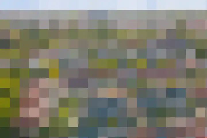 Leliestraat 35 Goes thumbnail 34