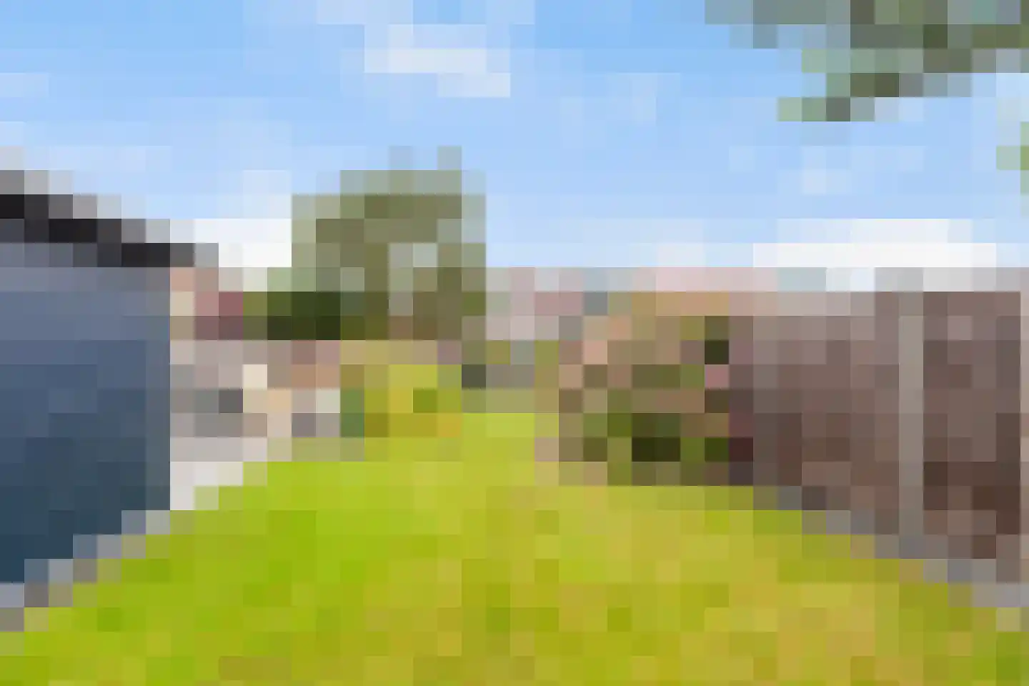 Leliestraat 37 Vlaardingen thumbnail 26