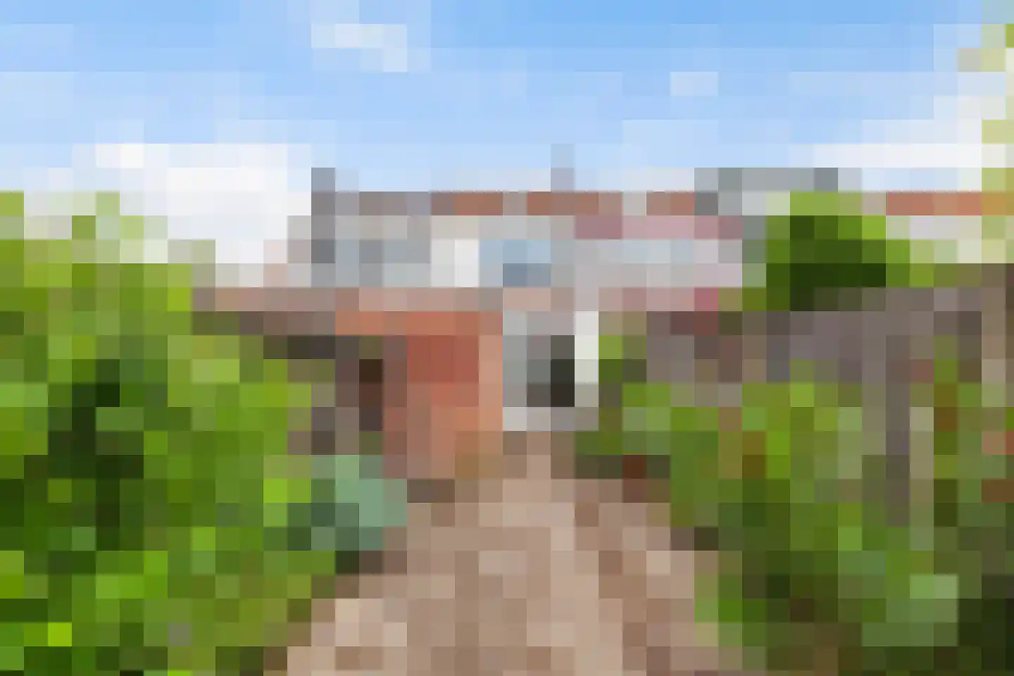 Leliestraat 37 Vlaardingen thumbnail 29