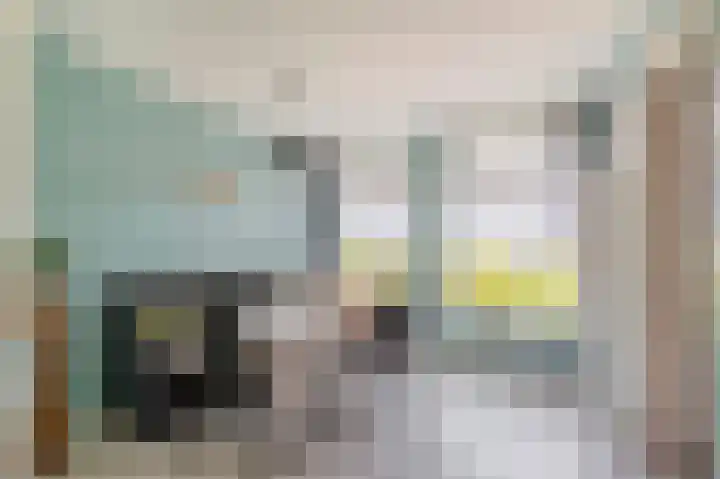 Leliestraat 38 Kaatsheuvel thumbnail 8