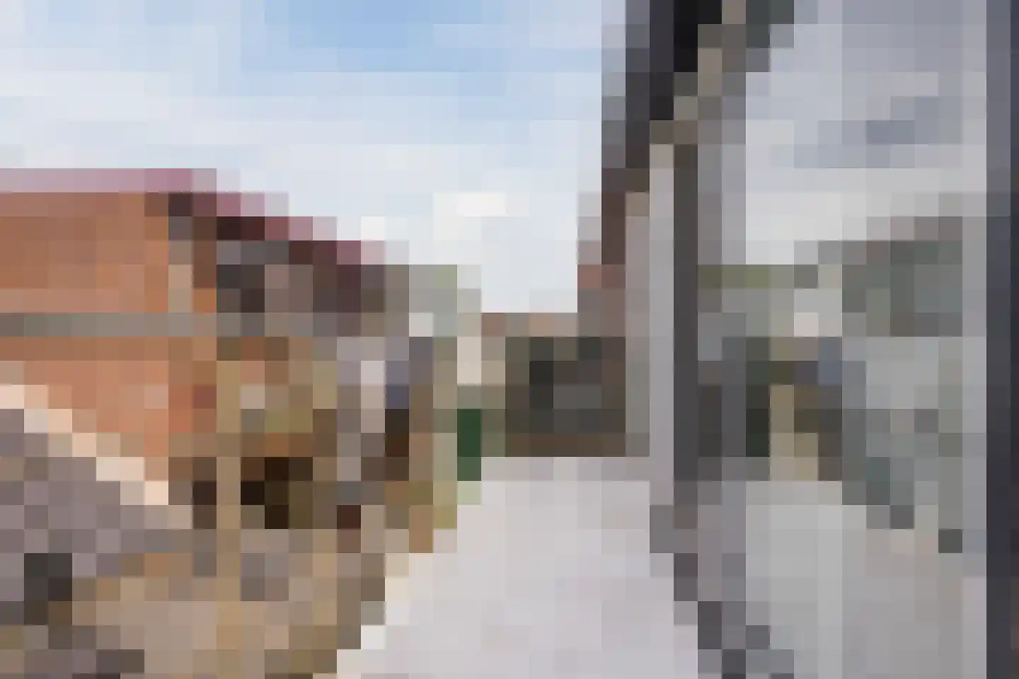 Leliestraat 39 Schiedam thumbnail 20