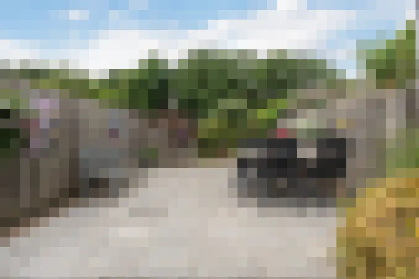 Leliestraat 4 Eibergen thumbnail 32