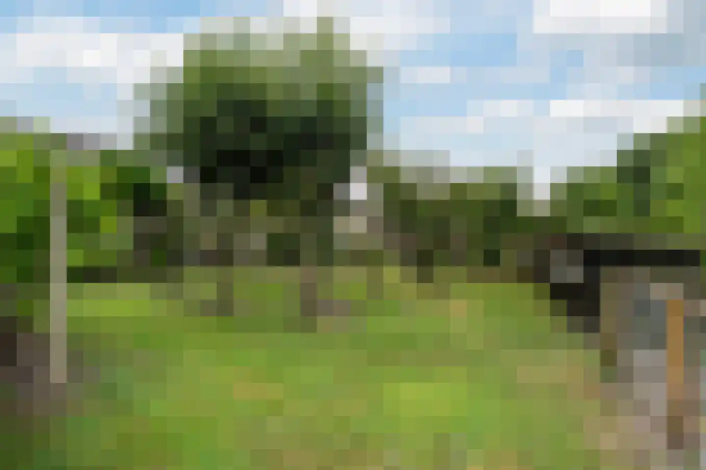Leliestraat 4 Eibergen thumbnail 33