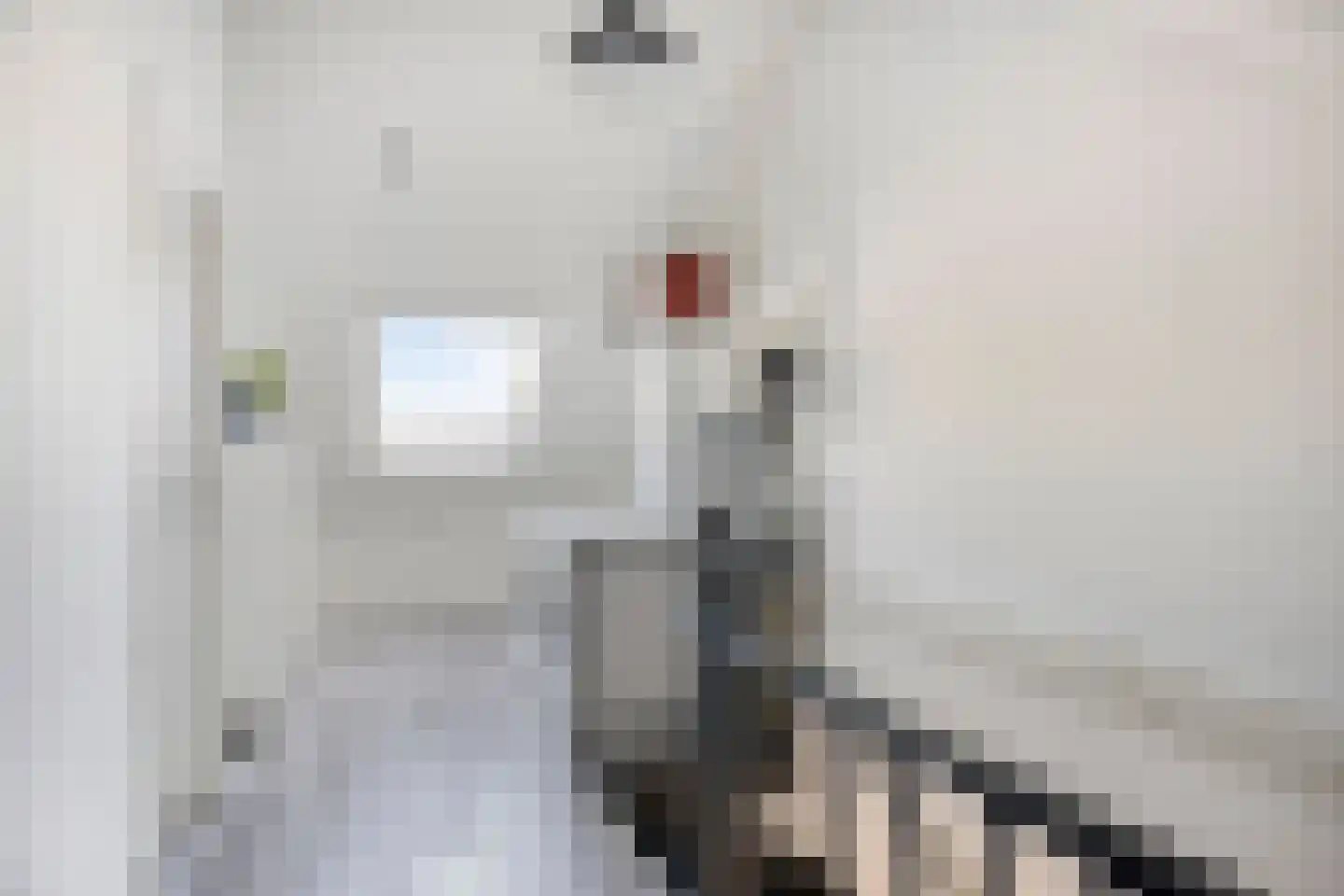 Leliestraat 4 Roelofarendsveen thumbnail 19