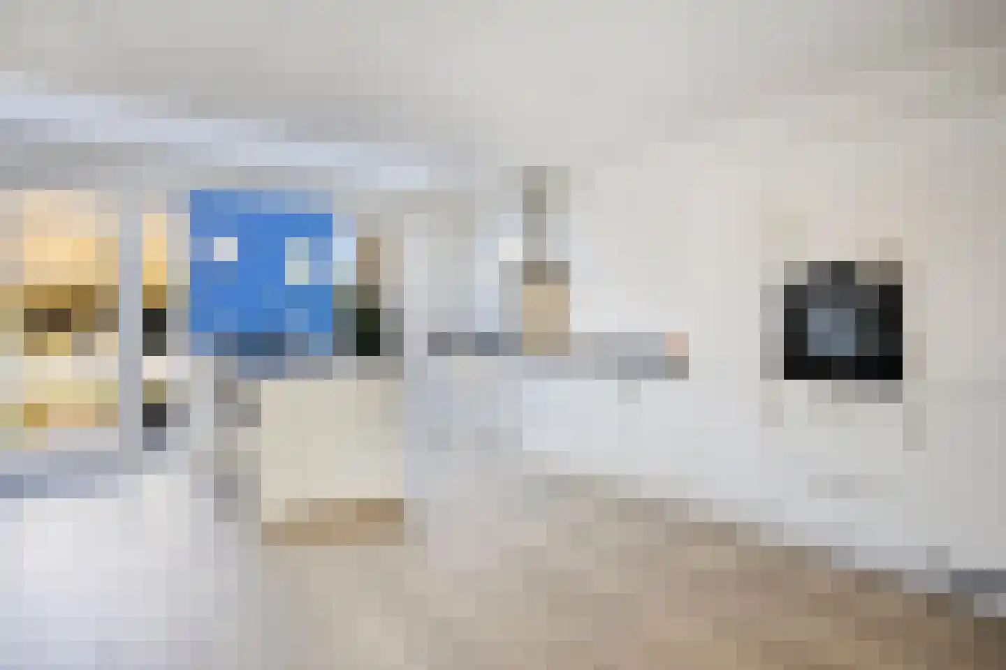 Leliestraat 4 Roelofarendsveen thumbnail 7
