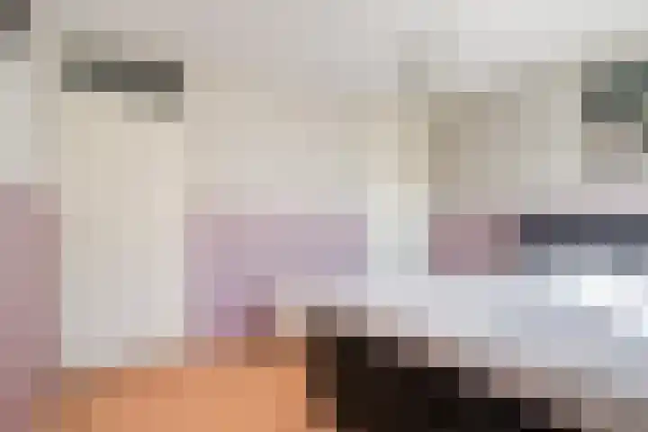 Leliestraat 41 Beek en Donk thumbnail 12