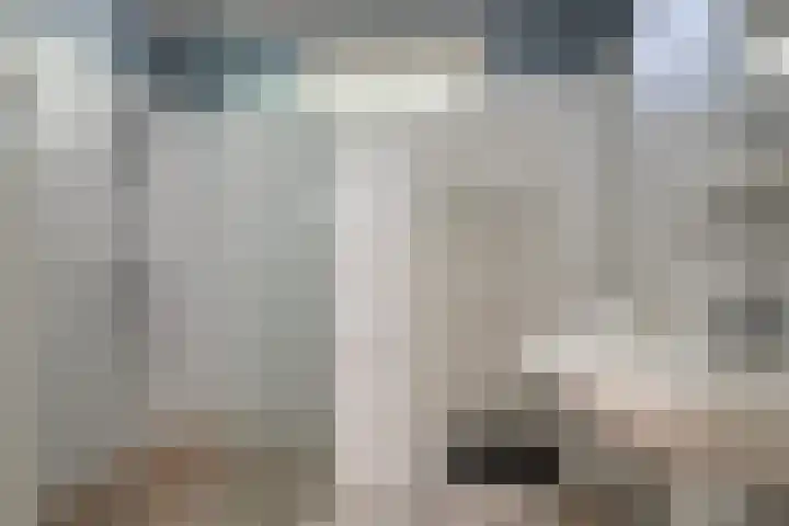 Leliestraat 41 Beek en Donk thumbnail 14