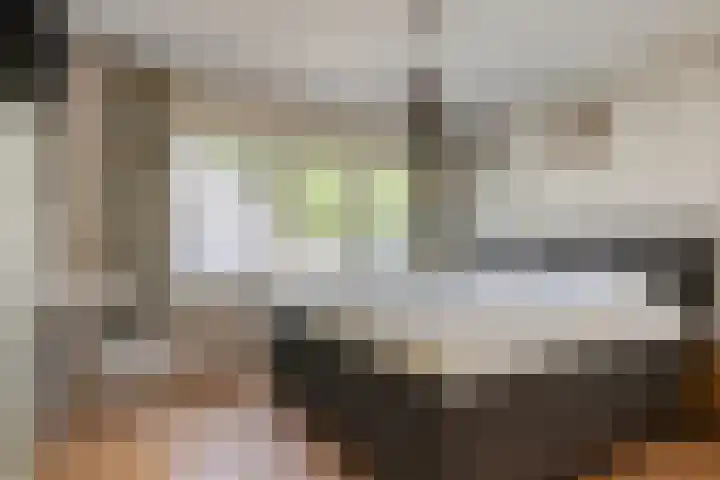 Leliestraat 41 Beek en Donk thumbnail 15