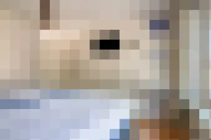 Leliestraat 41 Beek en Donk thumbnail 16
