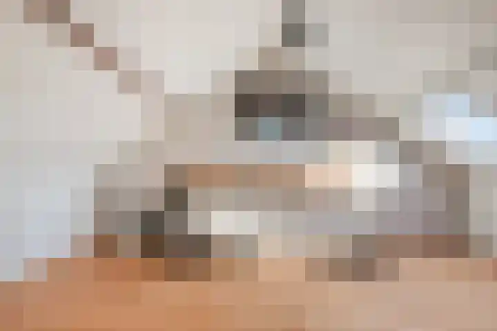 Leliestraat 41 Beek en Donk thumbnail 20