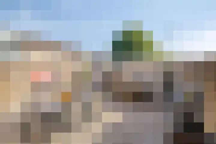 Leliestraat 41 Beek en Donk thumbnail 22