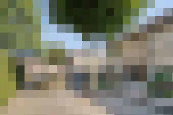 Leliestraat 41 Beek en Donk thumbnail 26