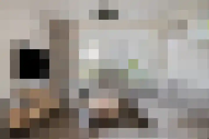 Leliestraat 41 Beek en Donk thumbnail 7