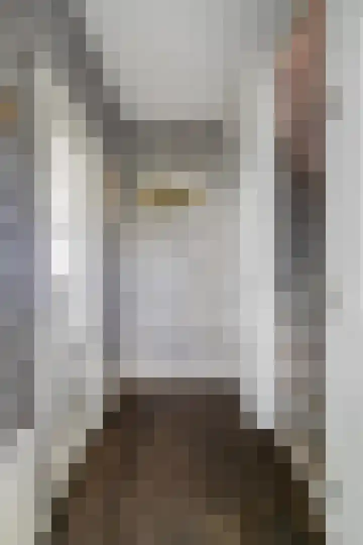 Leliestraat 41 Beek en Donk thumbnail 8