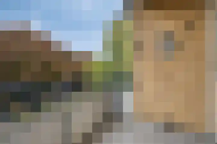 Leliestraat 41 Echt thumbnail 14