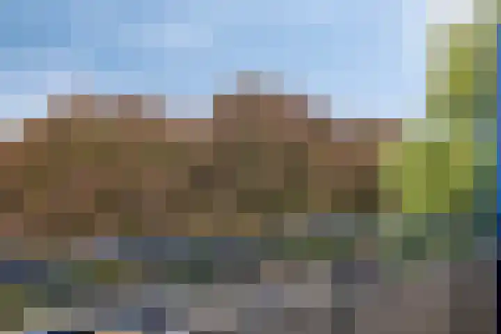 Leliestraat 41 Echt thumbnail 15