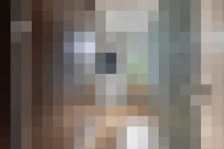 Leliestraat 41 Echt thumbnail 22