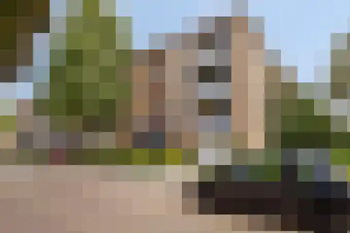 Leliestraat 41 Echt thumbnail 26